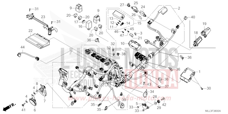 WIRE HARNESS for CB1000F "Big One" MAT BALLISTIC BLACK METALLIC (NHA86) from 2025